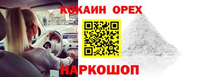 стафф Кингисепп