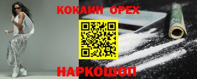 стафф Кингисепп