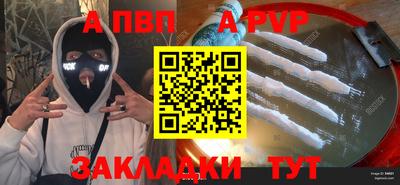стафф Кингисепп