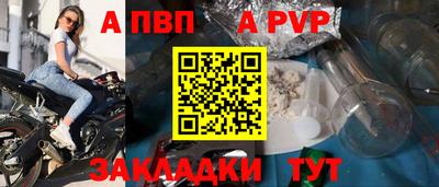 стафф Кингисепп