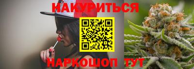 стафф Кингисепп