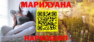 стафф Кингисепп