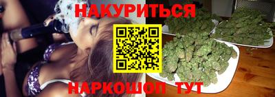 стафф Кингисепп