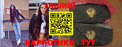 стафф Кингисепп