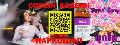стафф Кингисепп