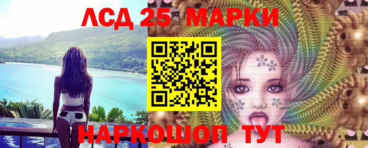 Наркотические марки 1500мкг  Марки N-bome  Кызыл  Вход с VPN  сколько стоит  Наркотические марки 1500мкг 