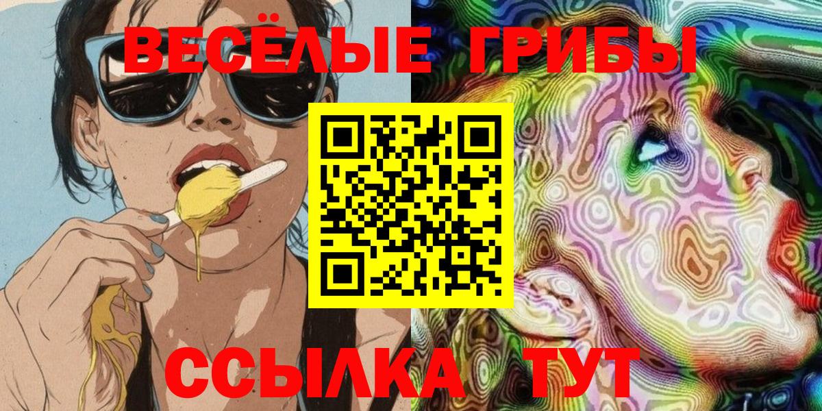 Кызыл  Псилоцибиновые грибы Cubensis  Вход с VPN 