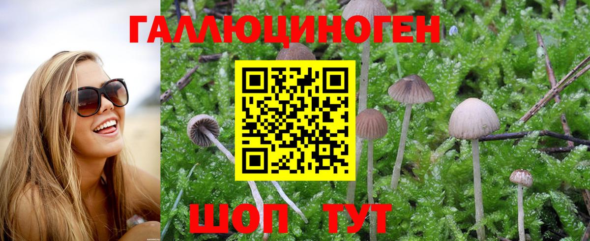 Галлюциногенные грибы Magic Shrooms Кызыл